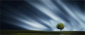 Az aurora borealis képe egy lápvidéken (120x50 cm)