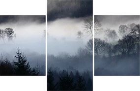 A köd képe az erdő felett (90x60 cm)