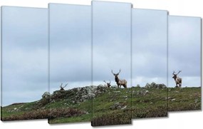 Vászonkép 100x60 Szarvas felszarvazott