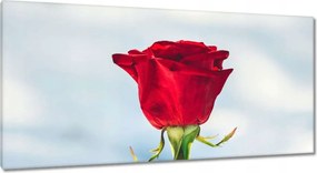 Vászonkép 115x55 Rózsa Virág Virágok Rózsa