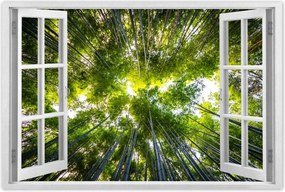 Poszter 60x40 Bambusz trópusi erdő