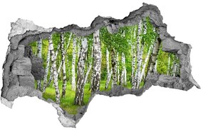 Lyuk 3d fali matrica Nyírfa erdő nd-b-85613602