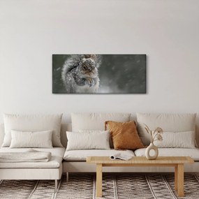Kép - Mókus télen (120x50 cm)