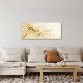 Kép - Makro fotó pitypangról (120x50 cm)