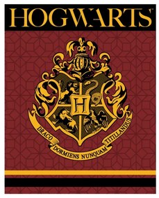 Harry Potter Crest coral fleece polár takaró 120x150cm
