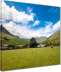 Vászonkép 40x40 Juh legeltetés