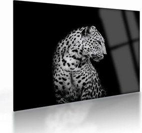 Üveg kép - Leopárd (70x50 cm)