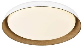 Top Light-LED Dimmelhető mennyezeti lámpa SATELLITE LED/48W/230V 3000-6500K fehér + távirányító
