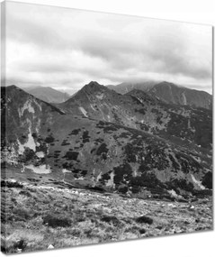 Vászonkép 40x40 Tátra Lengyel hegyek Kilátás