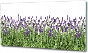 Fotó vászonkép edzett üveg Levendula virágok 125x50