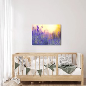 Kép - Levendula (70x50 cm)