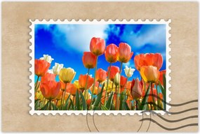 Plakátok 90x60 Színes tulipánok Virágok