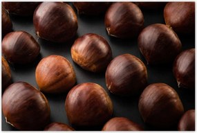 Poszterek 120x80 Kormány Ehető gesztenye