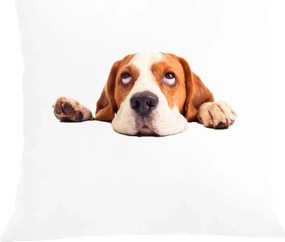 Párna párnahuzat Beagle Kutya mintás