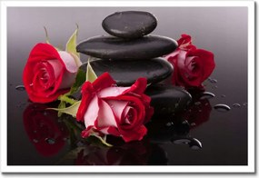 Poszterek keretben 60x40 Rózsák a kövek körül