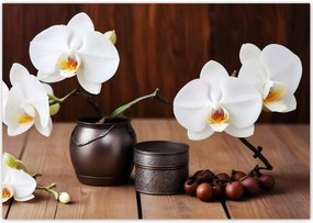 Fotótapéták 208x146 Fehér orchideák