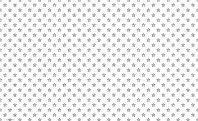 Fotótapéta Fekete csillagok kontúrok fehér alapon minimalizmus 208x146 +ragasztó