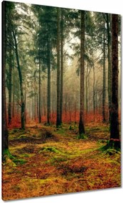 Vászonkép 70x100 Erdő Tájkép