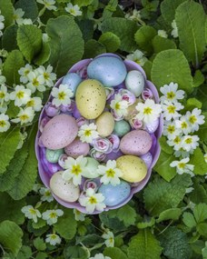 Poszter 40x50cm Húsvéti tojások kosárban 3, Assaf Frank