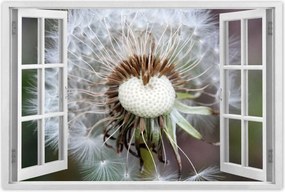 Poszterek 120x80 Pitypang Virág Virágok