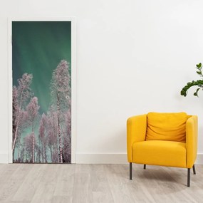 Fotótapéta ajtóra - Északi fény fagyott fák felett (95x205cm)
