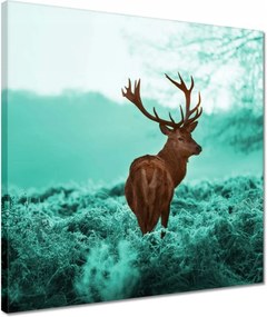 Vászonkép 40x40 Szarvas a türkiz erdőben
