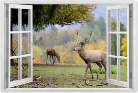 Poszter 60x40 Szarvas a szeretett szarvassal