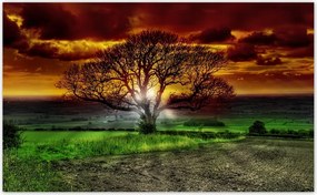 Fotótapéta flizelina 520x318 Varázslatos fa