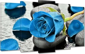 Vászonkép 100x60 Kék rózsa kövek