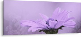 Kép - Ibolya virág (120x50 cm)