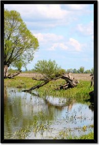 Poszterek keretben 40x60