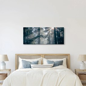 Fák képe a ragyogó nappal (120x50 cm)