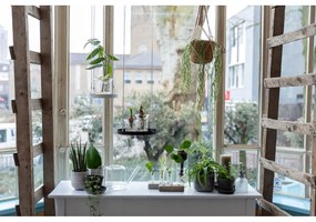 Clear üveg locsolókanna virágokhoz, 1,5 l - Esschert Design