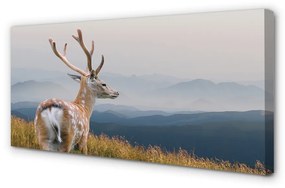 Canvas képek szarvas hegyek 120x60 cm