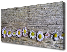 Vászonkép Daisy növény természet 100x50 cm