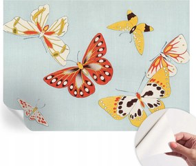 Fotótapéta Falra az Előszoba Konyhába Művészi pillangók 312x219 cm
