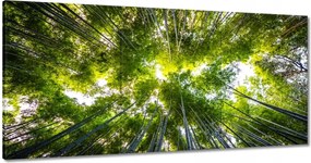 Vászonkép 120x60 Bambusz trópusi erdő