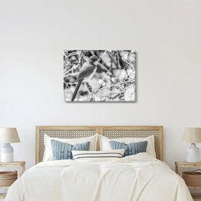 Kép - Kék madár télen (70x50 cm)