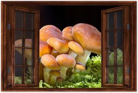 Poszterek 120x80 Gomba az erdőben Közelkép