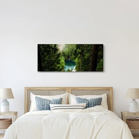 Kép - kilátás a fák között (120x50 cm)