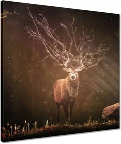 Vászonkép 50x50 Szarvas felszarvazott