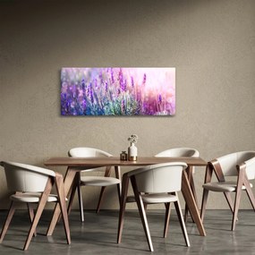 Kép - Levendula a csillogó napban (120x50 cm)