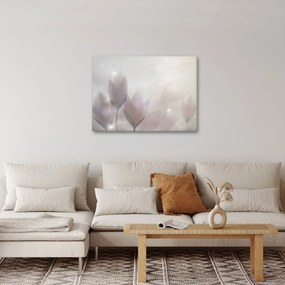 Kép - krókuszok (70x50 cm)