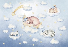 Fotótapéta - Békés alvás (147x102 cm)
