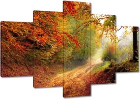 Képek 120x80 Út az erdőben ősz