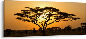 Kép - afrikai szavanna (120x50 cm)