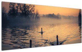 Hattyúk a vizen és a ködben képe (120x50 cm)