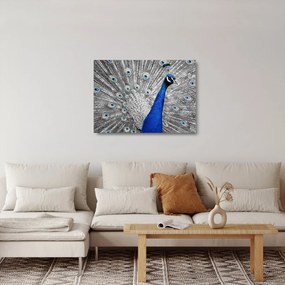 Kék páva képe (üvegen) (70x50 cm)