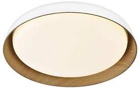 Top Light-LED Dimmelhető mennyezeti lámpa SATELLITE LED/36W/230V 3000-6500K fehér + távirányító