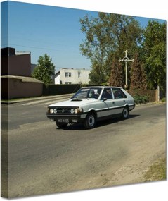 Festmények 20x20 Polonez Borewicz Fso